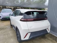 BYD Seagull Glory Edition 405km Flying Edition - ფოტო 5
