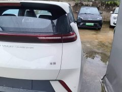 BYD Seagull Glory Edition 405km Flying Edition - ფოტო 8