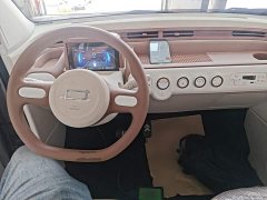 FAW Besturn Xiaoma 222km Colorful Edition - ფოტო 10