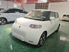 ORA White Cat 2020 305km Luxury - ფოტო 1