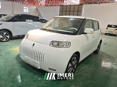 2021 ORA White Cat 2020 305km Luxury - ავტომობილი ჩინეთიდან