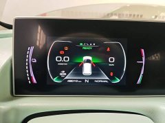 ORA White Cat 2020 305km Luxury - ფოტო 12