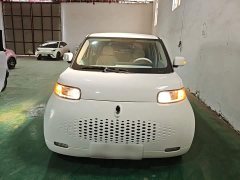 ORA White Cat 2020 305km Luxury - ფოტო 3