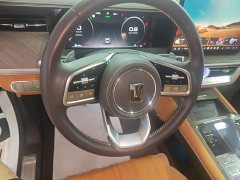 Tank 500 3.0T Sport Landscape 5-Seater - ფოტო 11
