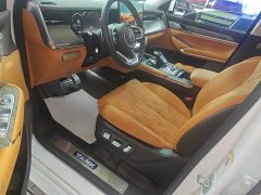 Tank 500 3.0T Sport Landscape 5-Seater - ფოტო 15
