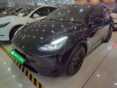 Tesla Model Y Rear-Wheel Drive - ფოტო 1