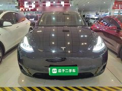 Tesla Model Y Rear-Wheel Drive - ფოტო 3