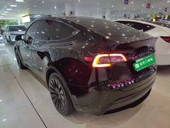 Tesla Model Y Rear-Wheel Drive - ფოტო 5