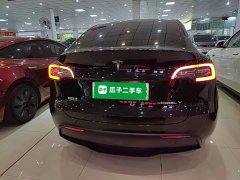 Tesla Model Y Rear-Wheel Drive - ფოტო 6