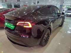 Tesla Model Y Rear-Wheel Drive - ფოტო 7