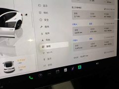Tesla Model 3 2022 Rear-Wheel Drive - ფოტო 12