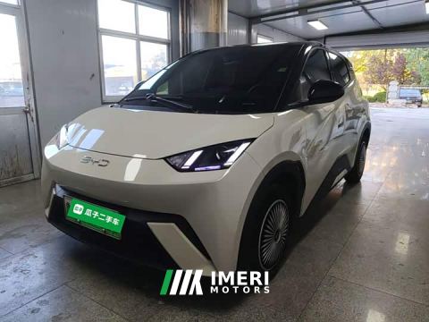 2024 BYD Seagull Glory Edition 305km Vitality Version