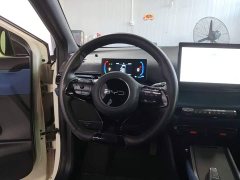 BYD Seagull Glory Edition 305km Vitality Version - ფოტო 11