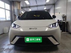 BYD Seagull Glory Edition 305km Vitality Version - ფოტო 3