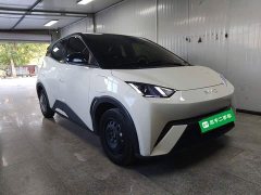 BYD Seagull Glory Edition 305km Vitality Version - ფოტო 4