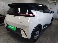 BYD Seagull Glory Edition 305km Vitality Version - ფოტო 7
