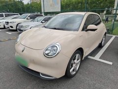 ORA Good Cat 400km Standard Range Athena Edition LFP Battery - ფოტო 1