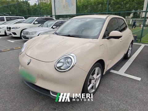 2021 ORA Good Cat 400km Standard Range Athena Edition LFP Battery - ავტომობილი ჩინეთიდან