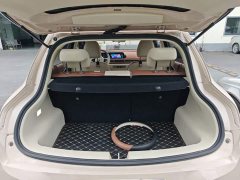 ORA Good Cat 400km Standard Range Athena Edition LFP Battery - ფოტო 19