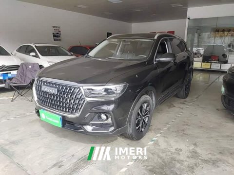 2023 Haval H6 National Trend Edition 1.5T Automatic Urban Version - ავტომობილი ჩინეთიდან