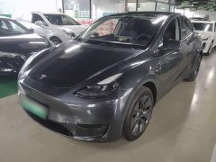 Tesla Model Y Rear-Wheel Drive - ფოტო 1