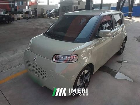 2021 Ora White Cat 2022 Upgrade 305km Luxury Trim Ternary Lithium Battery - ავტომობილი ჩინეთიდან