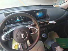 Ora White Cat 2022 Upgrade 305km Luxury Trim Ternary Lithium Battery - ფოტო 10