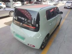 Ora White Cat 2022 Upgrade 305km Luxury Trim Ternary Lithium Battery - ფოტო 7