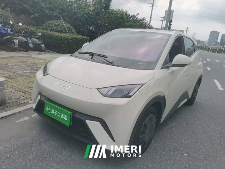 BYD Seagull Glory Edition 305km Vitality Version