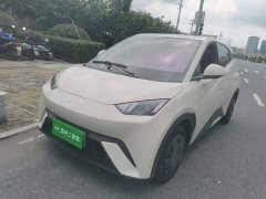 BYD Seagull Glory Edition 305km Vitality Version - ფოტო 1