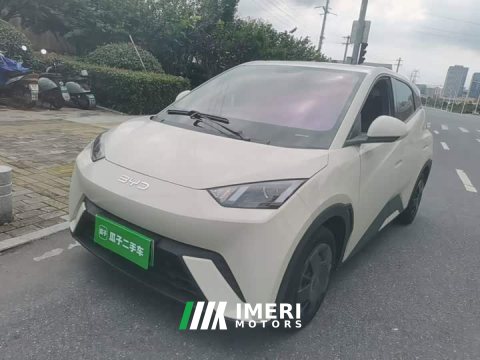 2024 BYD Seagull Glory Edition 305km Vitality Version - ავტომობილი ჩინეთიდან
