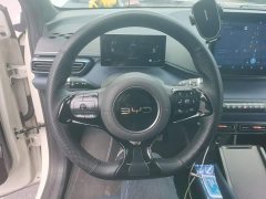 BYD Seagull Glory Edition 305km Vitality Version - ფოტო 11
