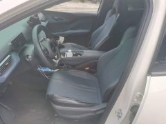 BYD Seagull Glory Edition 305km Vitality Version - ფოტო 15