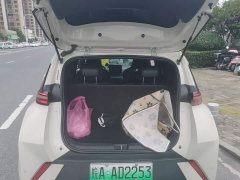 BYD Seagull Glory Edition 305km Vitality Version - ფოტო 19