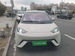 BYD Seagull Glory Edition 305km Vitality Version - ფოტო 3