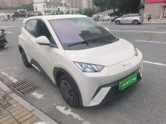 BYD Seagull Glory Edition 305km Vitality Version - ფოტო 4