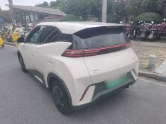 BYD Seagull Glory Edition 305km Vitality Version - ფოტო 5