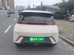 BYD Seagull Glory Edition 305km Vitality Version - ფოტო 6