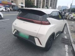 BYD Seagull Glory Edition 305km Vitality Version - ფოტო 7