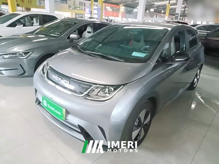 BYD Dolphin 420km Freedom Edition - ავტომობილი ჩინეთიდან