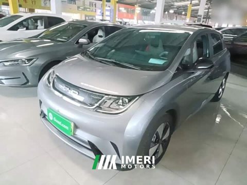 2023 BYD Dolphin 420km Freedom Edition - ავტომობილი ჩინეთიდან