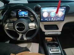 BYD Dolphin 420km Freedom Edition - ფოტო 10