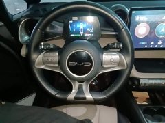 BYD Dolphin 420km Freedom Edition - ფოტო 11