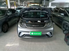 BYD Dolphin 420km Freedom Edition - ფოტო 20