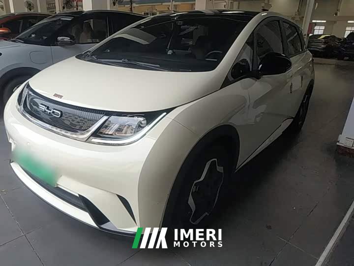 BYD Dolphin 405km Fashion Edition - ავტომობილი ჩინეთიდან