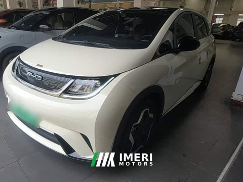 2023 BYD Dolphin 405km Fashion Edition - ავტომობილი ჩინეთიდან