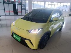 BYD Seagull Glory Edition 305km Vitality Version - ფოტო 1
