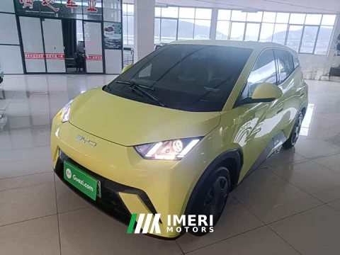 2024 BYD Seagull Glory Edition 305km Vitality Version - ავტომობილი ჩინეთიდან