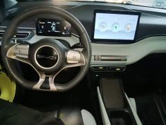 BYD Seagull Glory Edition 305km Vitality Version - ფოტო 10