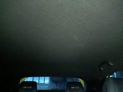 BYD Seagull Glory Edition 305km Vitality Version - ფოტო 18